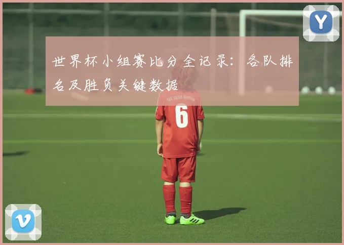 世界杯小组赛比分全记录：各队排名及胜负关键数据